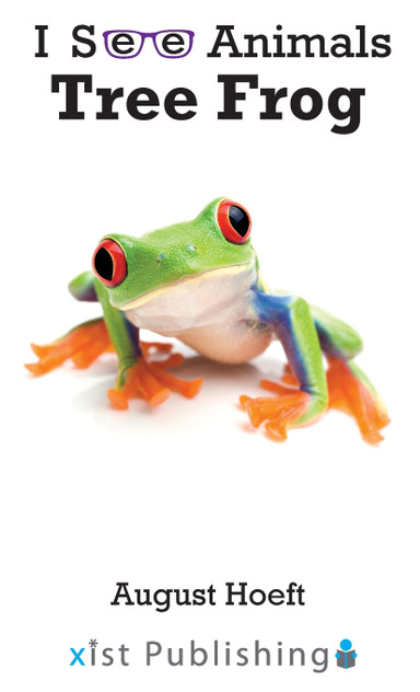 Tree Frog Tree Frog