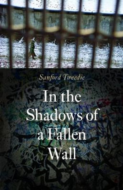 In the Shadows of a Fallen Wall In the Shadows of a Fallen Wall