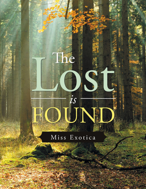 The Lost Is Found The Lost Is Found