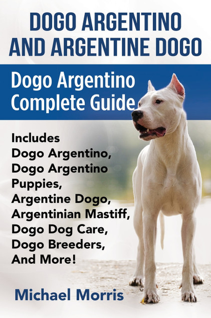 Dogo Argentino And Argentine Dogo Dogo Argentino And Argentine Dogo