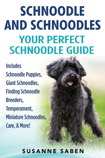 Schnoodle And Schnoodles Schnoodle And Schnoodles