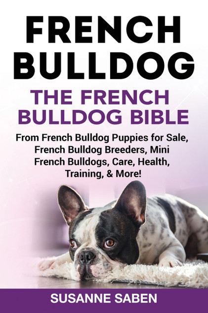 French Bulldog French Bulldog