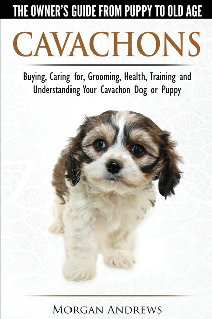 Cavachons - The Owner's Guide from Puppy to Old Age - Choosing, Caring for, Grooming, Health, Training and Understanding Your Cavachon Dog or Puppy Cavachons - The Owner's Guide from Puppy to Old Age - Choosing, Caring for, Grooming, Health, Training and Understanding Your Cavachon Dog or Puppy