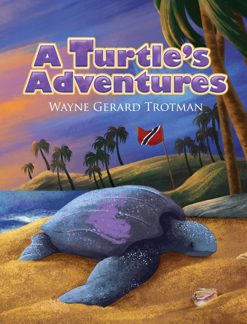 A Turtle's Adventures A Turtle's Adventures