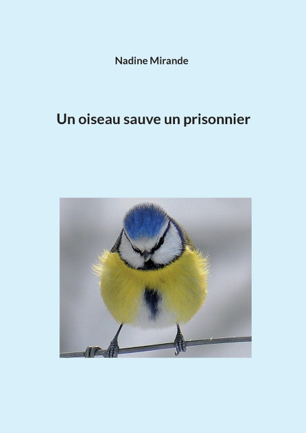 Un oiseau sauve un prisonnier Un oiseau sauve un prisonnier