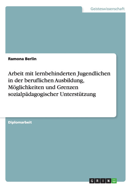 Arbeit mit lernbehinderten Jugendlichen in der beruflichen Ausbildung. Möglichkeiten und Grenzen sozialpädagogischer Unterstützung