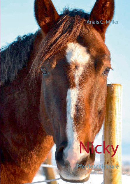 Nicky Nicky