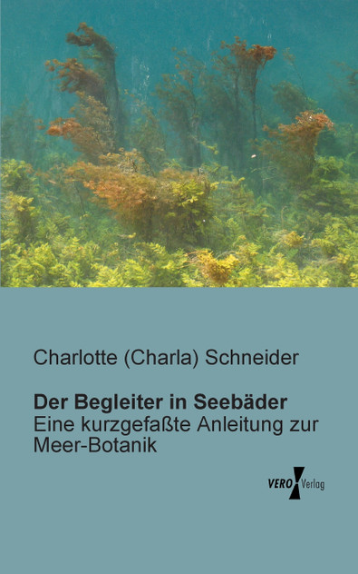 Der Begleiter in Seebäder Der Begleiter in Seebäder