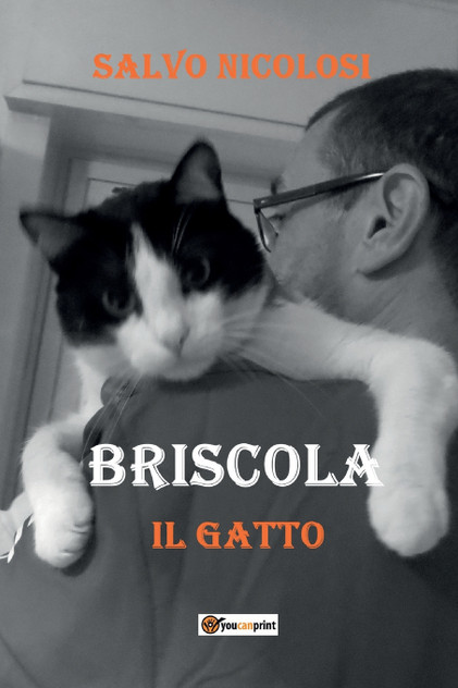 Briscola il Gatto Briscola il Gatto