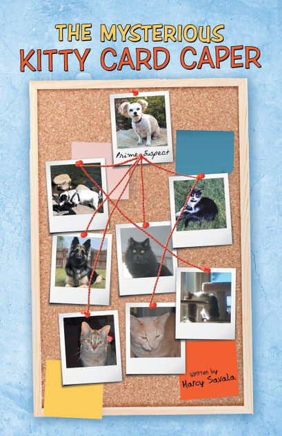 The Mysterious Kitty Card Caper The Mysterious Kitty Card Caper