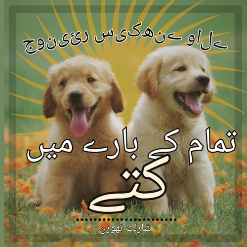 جونیئر سیکھنے والے کتوں کے بارے میں سب کچھ جونیئر سیکھنے والے کتوں کے بارے میں سب کچھ