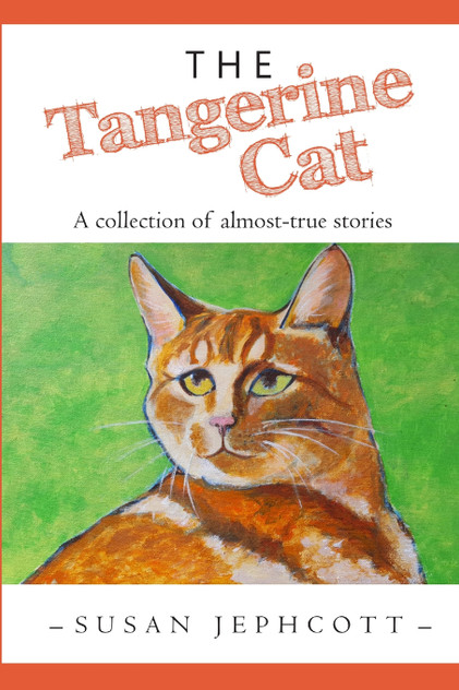 The Tangerine Cat The Tangerine Cat