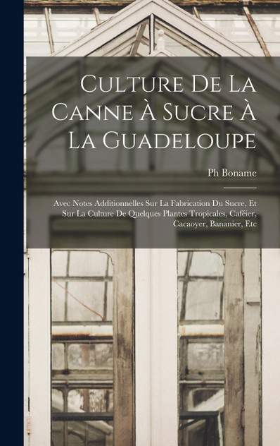 Culture De La Canne À Sucre À La Guadeloupe Culture De La Canne À Sucre À La Guadeloupe