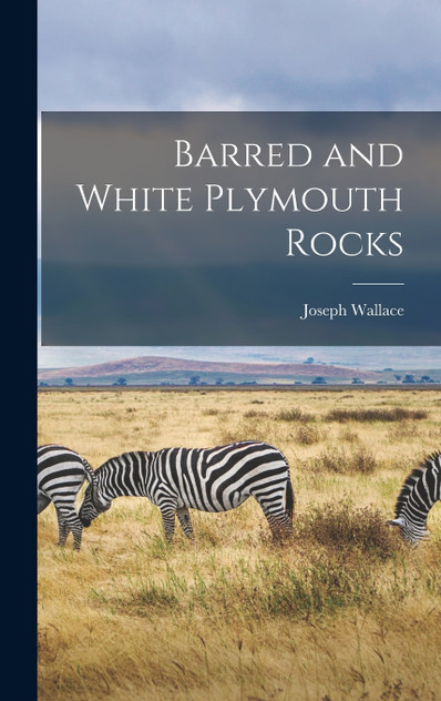 Barred and White Plymouth Rocks Barred and White Plymouth Rocks