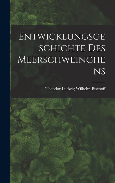 Entwicklungsgeschichte Des Meerschweinchens Entwicklungsgeschichte Des Meerschweinchens