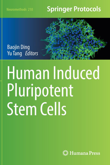 Human Induced Pluripotent Stem Cells Human Induced Pluripotent Stem Cells