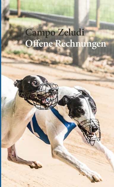 Offene Rechnungen Offene Rechnungen