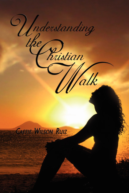 Understanding the Christian Walk Understanding the Christian Walk