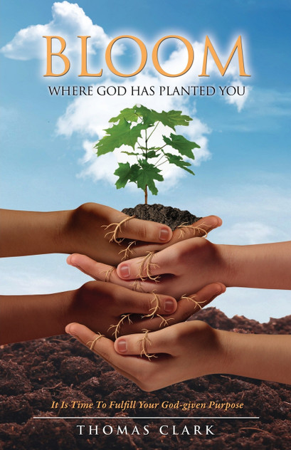 BLOOM WHERE GOD HAS PLANTED YOU BLOOM WHERE GOD HAS PLANTED YOU