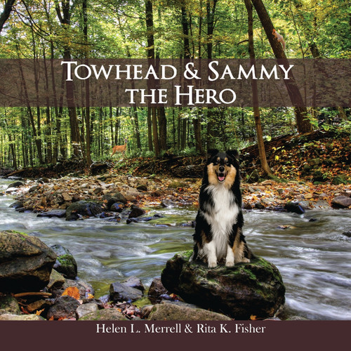 Towhead and Sammy The Hero Towhead and Sammy The Hero