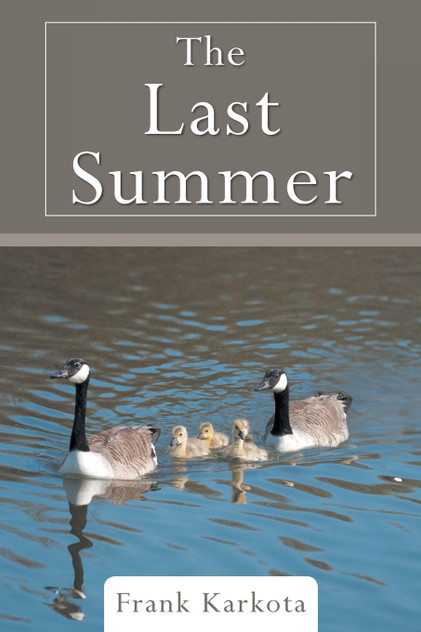 The Last Summer The Last Summer