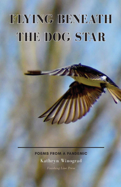 Flying Beneath the Dog Star Flying Beneath the Dog Star