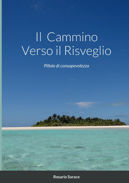 Il  Cammino Verso il Risveglio