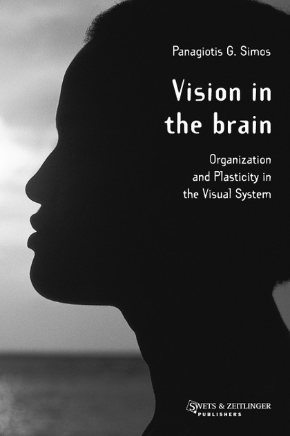Vision in the Brain Vision in the Brain