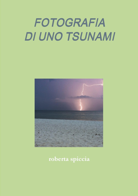 FOTOGRAFIA DI UNO TSUNAMI FOTOGRAFIA DI UNO TSUNAMI