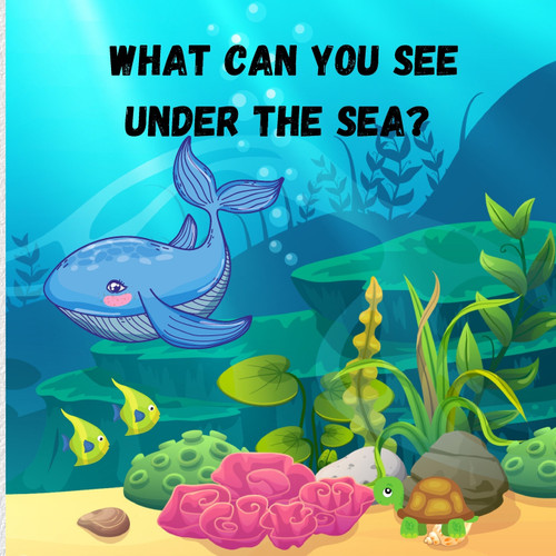 What can you see under the sea What can you see under the sea