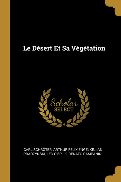 Le Désert Et Sa Végétation