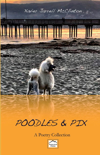 Poodles & Pix Poodles & Pix