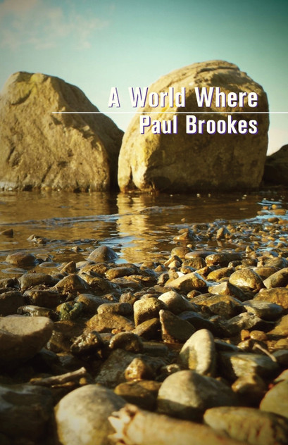 A World Where A World Where
