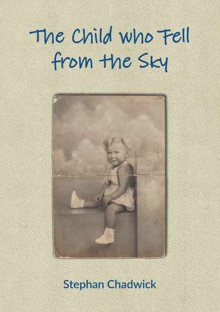 The Child who Fell from the Sky The Child who Fell from the Sky