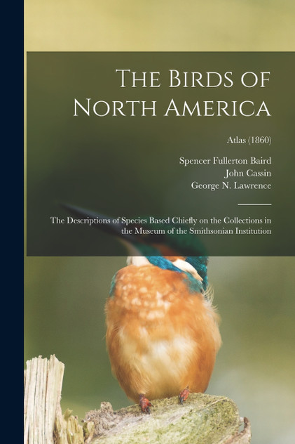 The Birds of North America