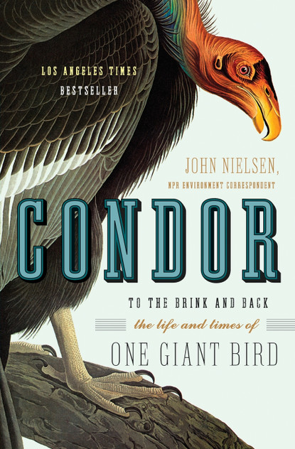 Condor Condor
