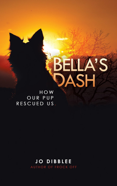 Bella's Dash Bella's Dash