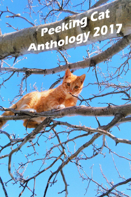 Peeking Cat Anthology 2017 Peeking Cat Anthology 2017