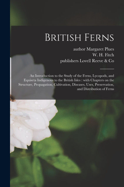 British Ferns British Ferns