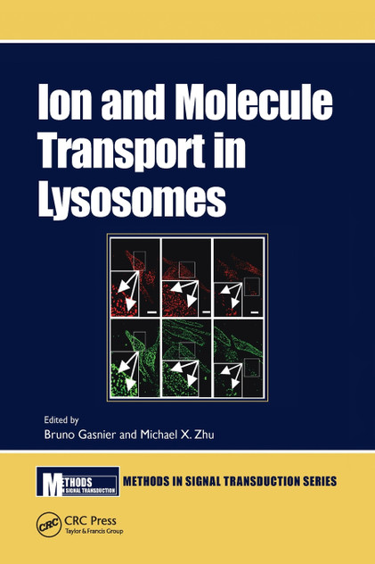 Ion and Molecule Transport in Lysosomes