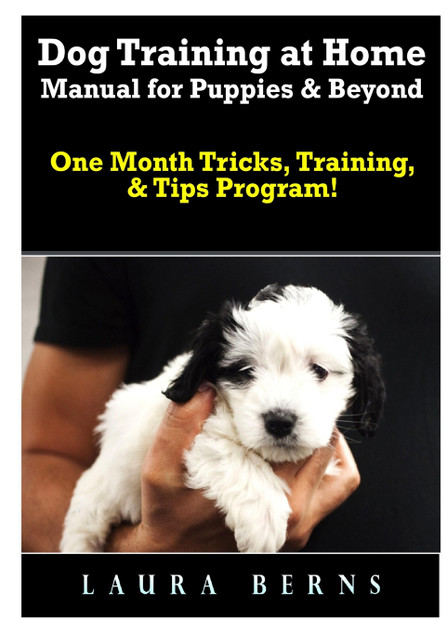 Dog Training at Home Manual for Puppies & Beyond Dog Training at Home Manual for Puppies & Beyond