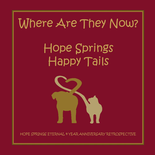 Where are they now? Hope Spring Happy Tails Where are they now? Hope Spring Happy Tails