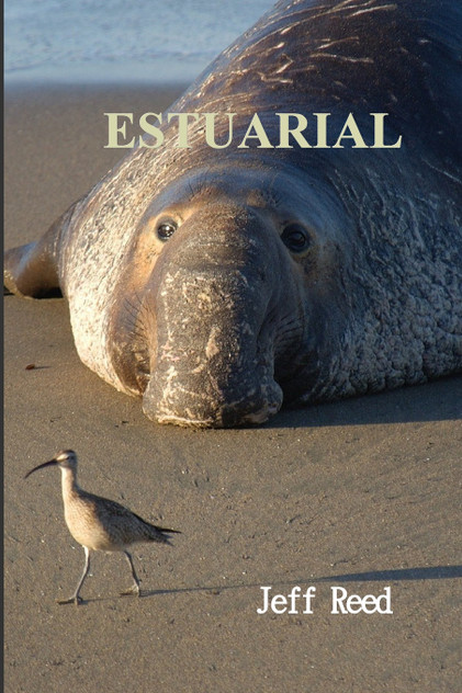 Estuarial Estuarial