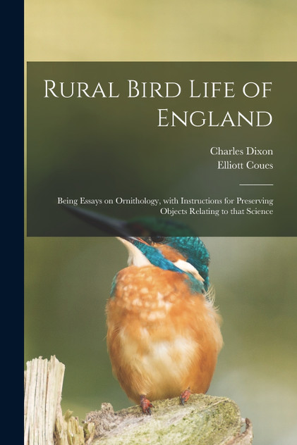Rural Bird Life of England Rural Bird Life of England