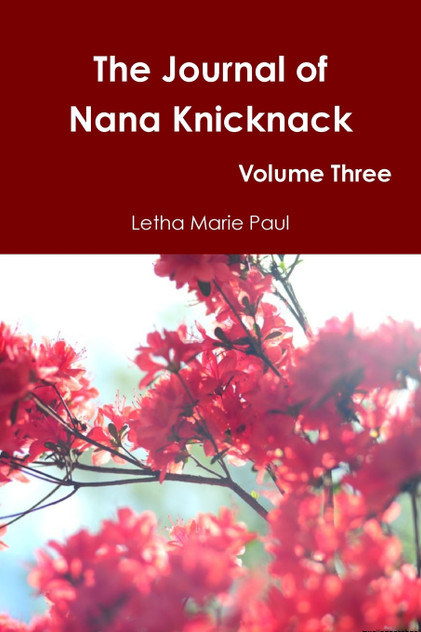The Journal of Nana Knicknack Volume Three The Journal of Nana Knicknack Volume Three