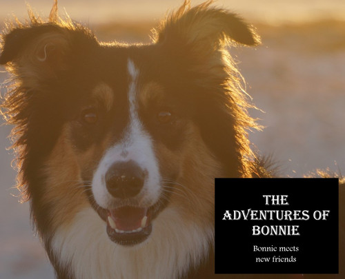 The Adventures of Bonnie The Adventures of Bonnie