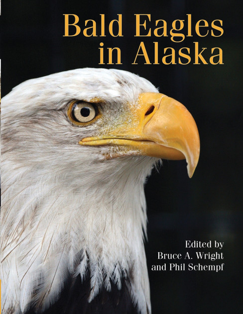 Bald Eagle in Alaska Bald Eagle in Alaska