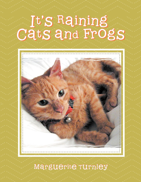 It's Raining Cats and Frogs It's Raining Cats and Frogs