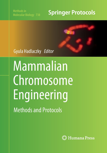 Mammalian Chromosome Engineering Mammalian Chromosome Engineering