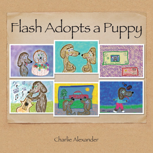 Flash Adopts a Puppy Flash Adopts a Puppy